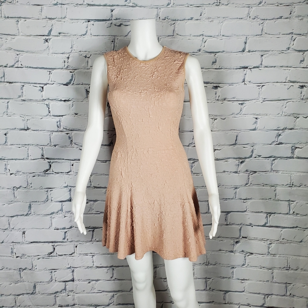 Torn By Ronny Kobo Pink Fit And Flare Dress